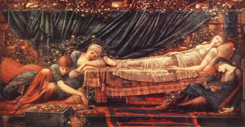 Burne-Jones, Sir Edward Coley Sleeping Beauty china oil painting image
